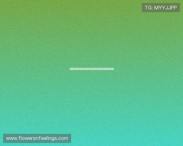全面解析体育世界杯赔率查询方法让你轻松把握比赛胜负预测信息